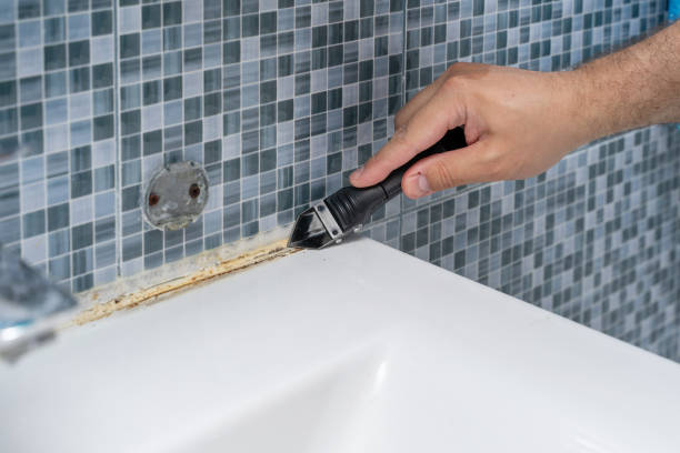 Best Emergency Mold Removal  in Summerville, SC